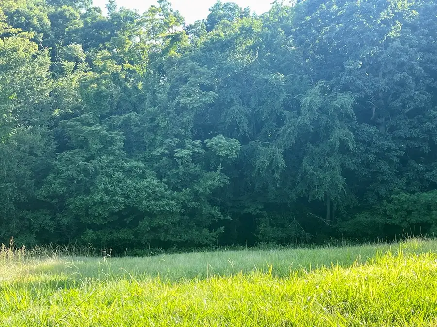 LOT 181 Harbor View, Mooresburg, TN 37811 - #2