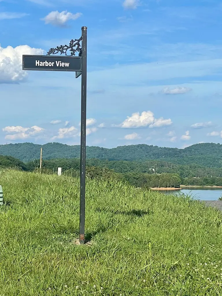 LOT 181 Harbor View, Mooresburg, TN 37811 - #3