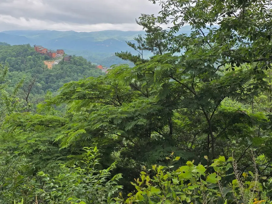 Lot 6 Pine Mtn Way, Sevierville, TN 37876 - #2