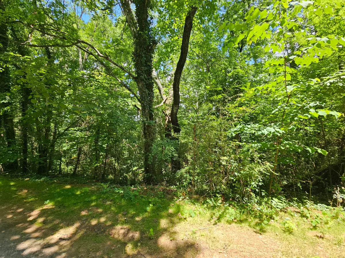 000 Michael Way, Newport, TN 37821 - #1