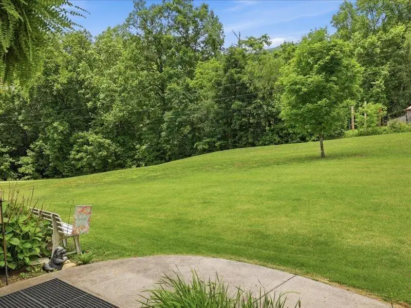 203 Oakleaf Way, Mooresburg, TN 37811 - #3