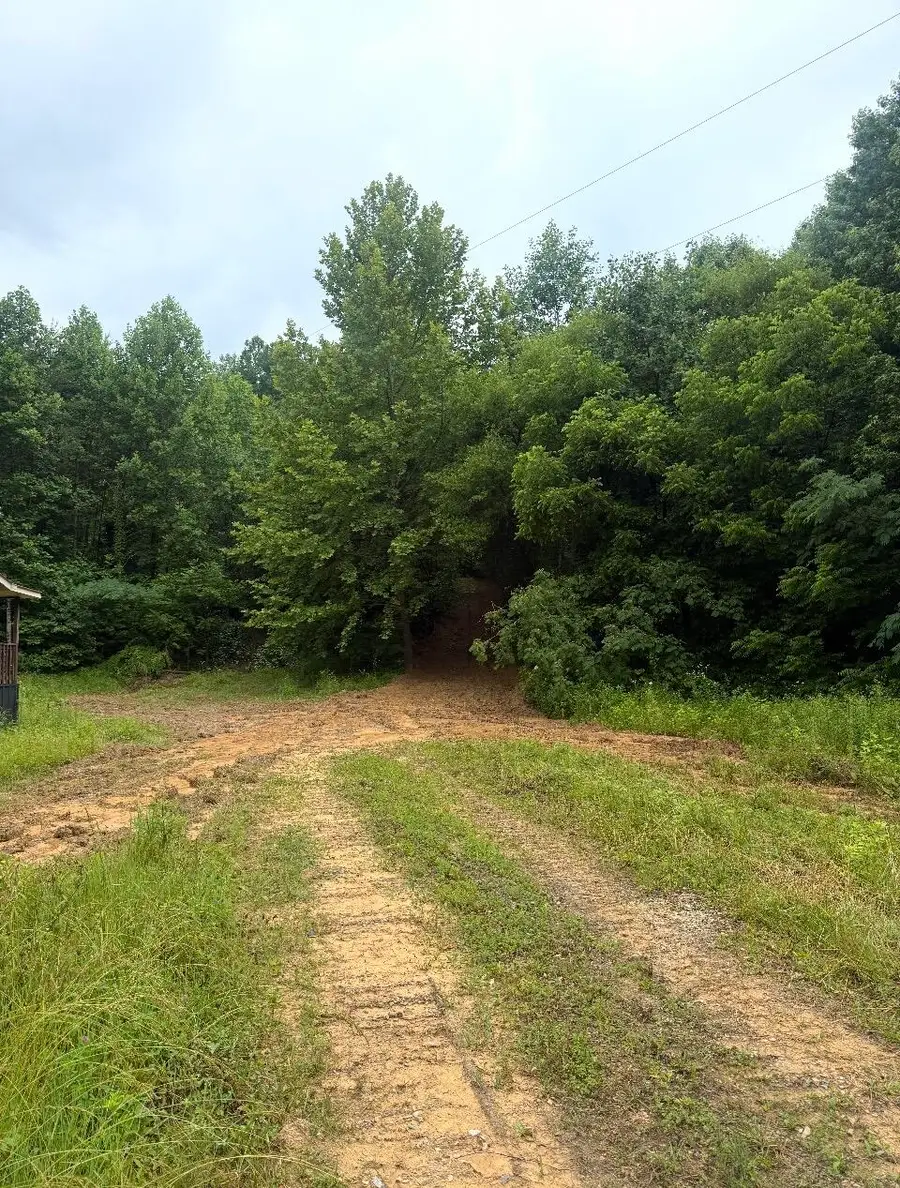 4611 Catons Grove Road, Cosby, TN 37722 - #2