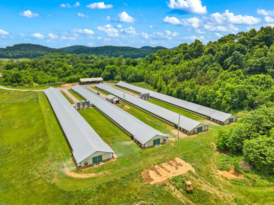 201 Meadow View Road, Rogersville, TN 37857 - #3