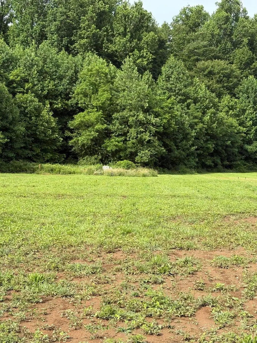 187 Tennessee 32, Cosby, TN 37722 - #3