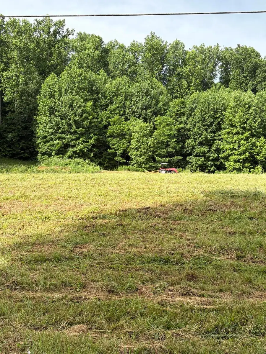 197 Tennessee 32, Cosby, TN 37722 - #2
