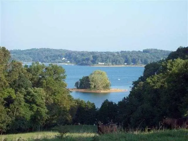 254 Alberts Cove Cove, Rutledge, TN 37861 - #1