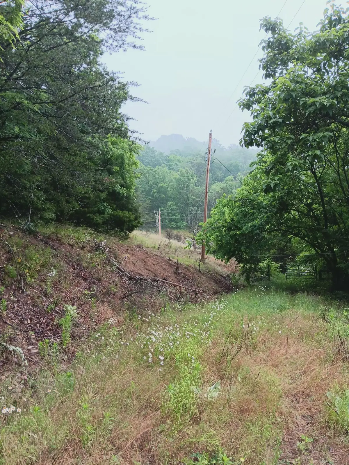 2595 Tn-31, Mooresburg, TN 37811 - #1