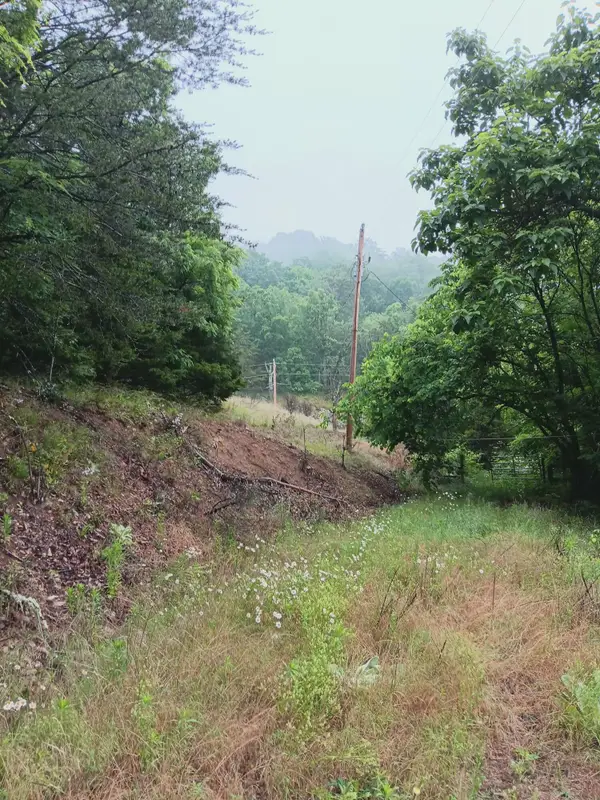 2595 Tn-31, Mooresburg, TN 37811