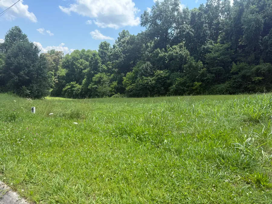 0 Castlebury Drive, Jefferson City, TN 37760 - #2