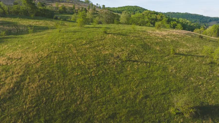 Tract 12R Big Springs Road, Eidson, TN 37731 - #3