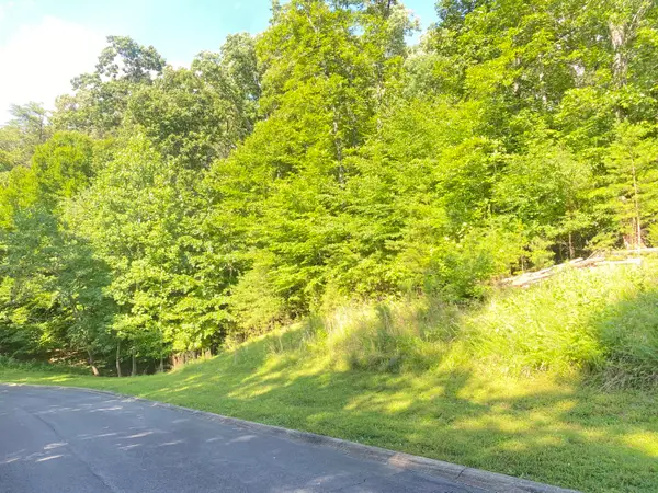 Lot 12 Cove Springs Drive, Dandridge, TN 37725