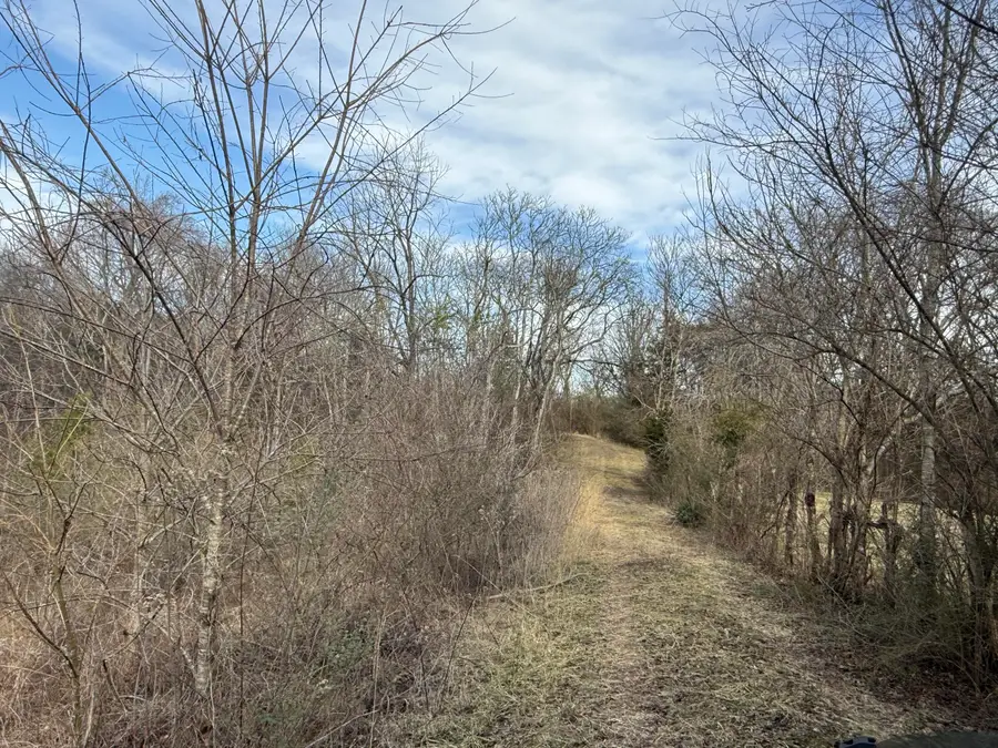 0 Chickory Road, Newport, TN 37821 - #2