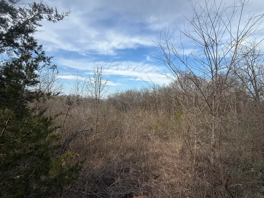 0 Chickory Road, Newport, TN 37821 - #3