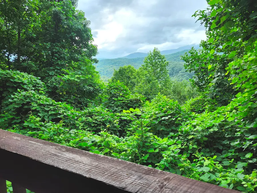 559 Crest Road, Gatlinburg, TN 37738 - #2