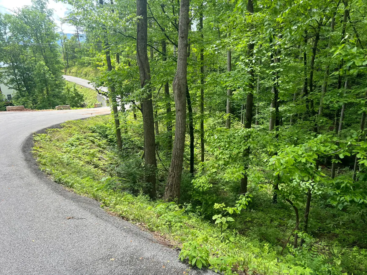 Lot 3 Old Cartertown Rd (4.49 Acres), Gatlinburg, TN 37738 - #1