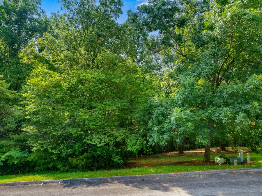 2301 Boat Dock Road, Talbott, TN 37877 - #2