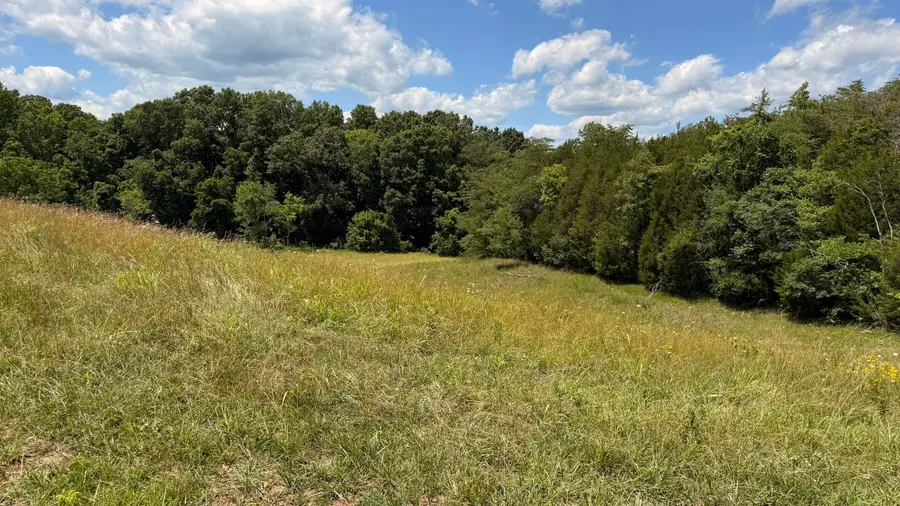 Lot 1 Walker Cemetary Road, Bulls Gap, TN 37711 - #3