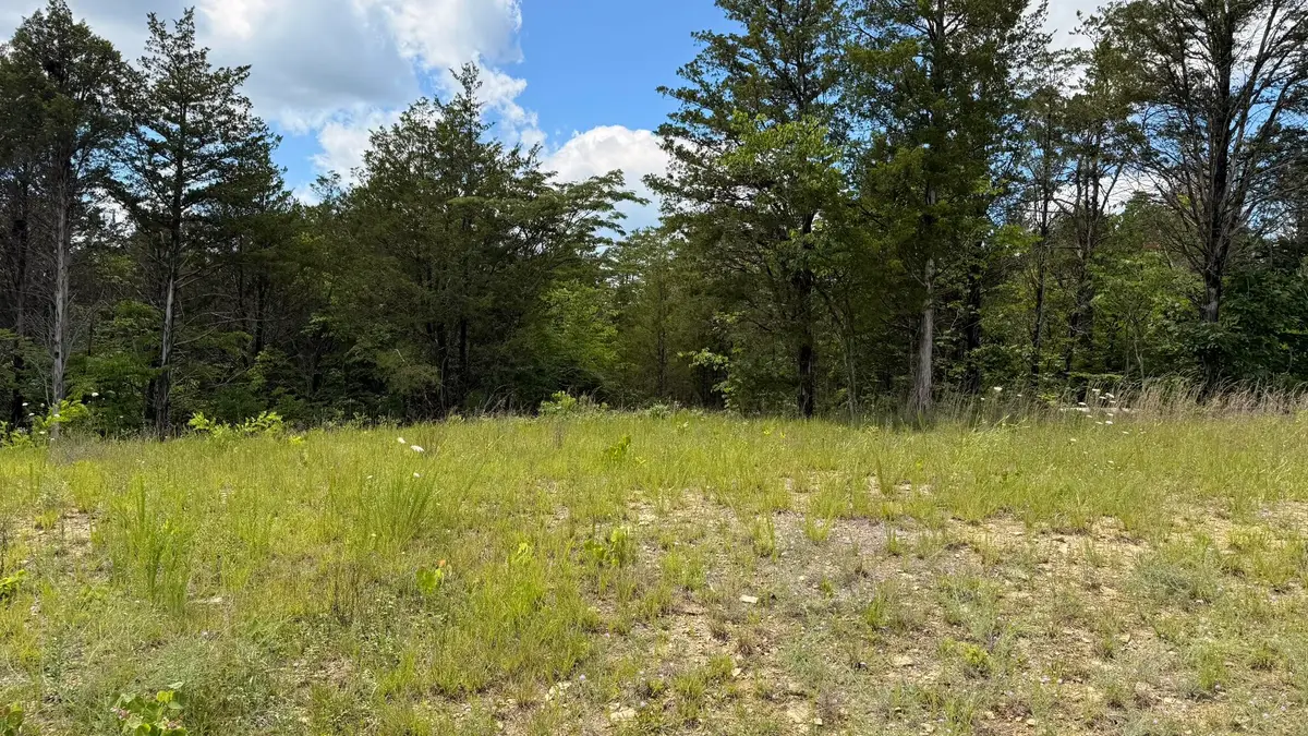 Lot 2 Walker Cemetary Road, Bulls Gap, TN 37711 - #1