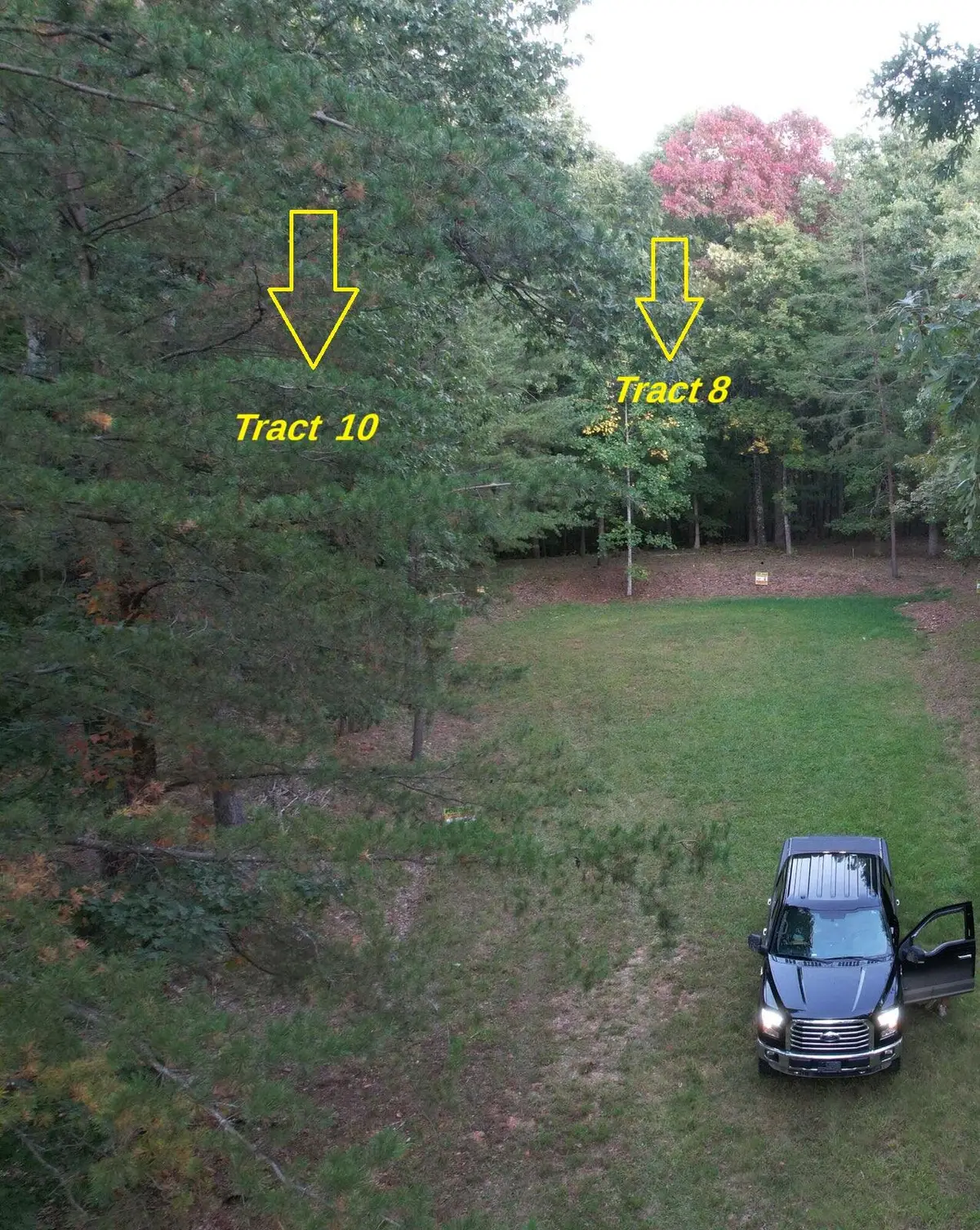 8 & 10 Video Way, Newport, TN 37821 - #1
