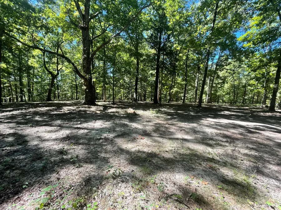 8 & 10 Video Way, Newport, TN 37821 - #2