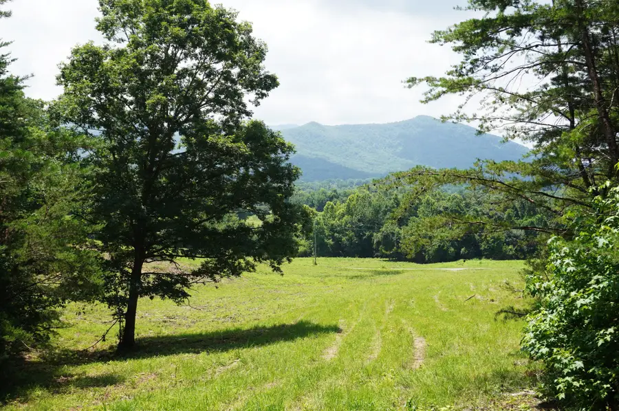 00 Rhyne Camp Road, Newport, TN 37821 - #2