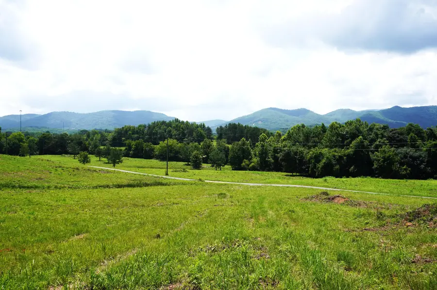 00 Rhyne Camp Road, Newport, TN 37821 - #3