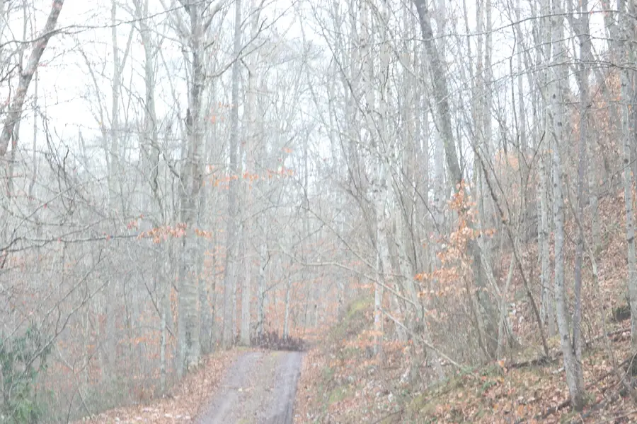 tbd Big Hill Road, Mooresburg, TN 37811 - #3