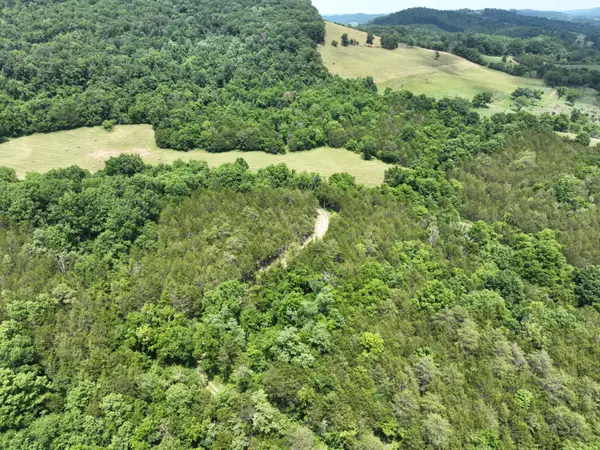 0 Hwy 131 (mountain Valley Rd), Thorn Hill, TN 37881