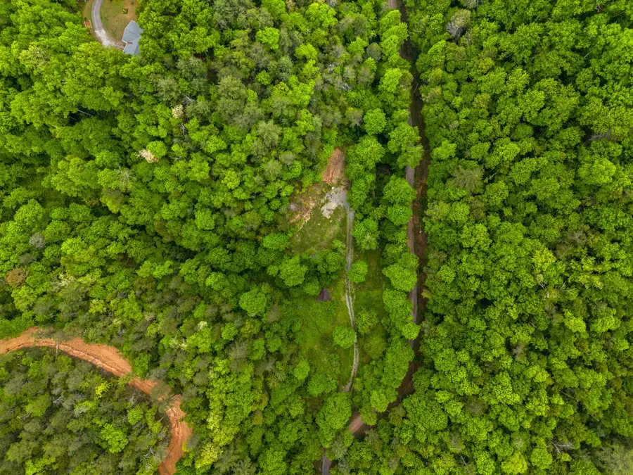 4304 Bruce Ogle Way, Pigeon Forge, TN 37863 - #3