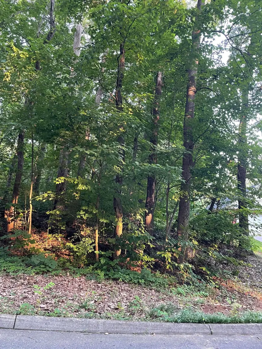 4024 Eagles Nest Drive, Morristown, TN 37813 - #3