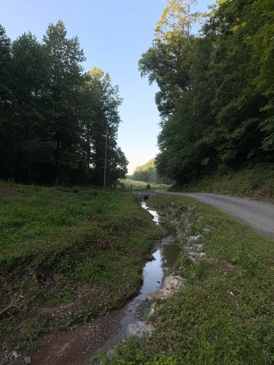TBD Looney Road, Parrottsville, TN 37843 - #3