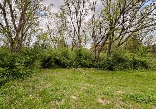 0 Cosby Highway, Newport, TN 37821 - #3