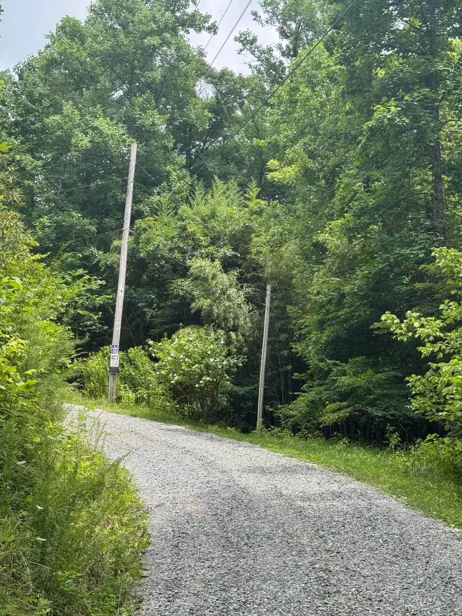 0 Punkton Road, Del Rio, TN 37727 - #3