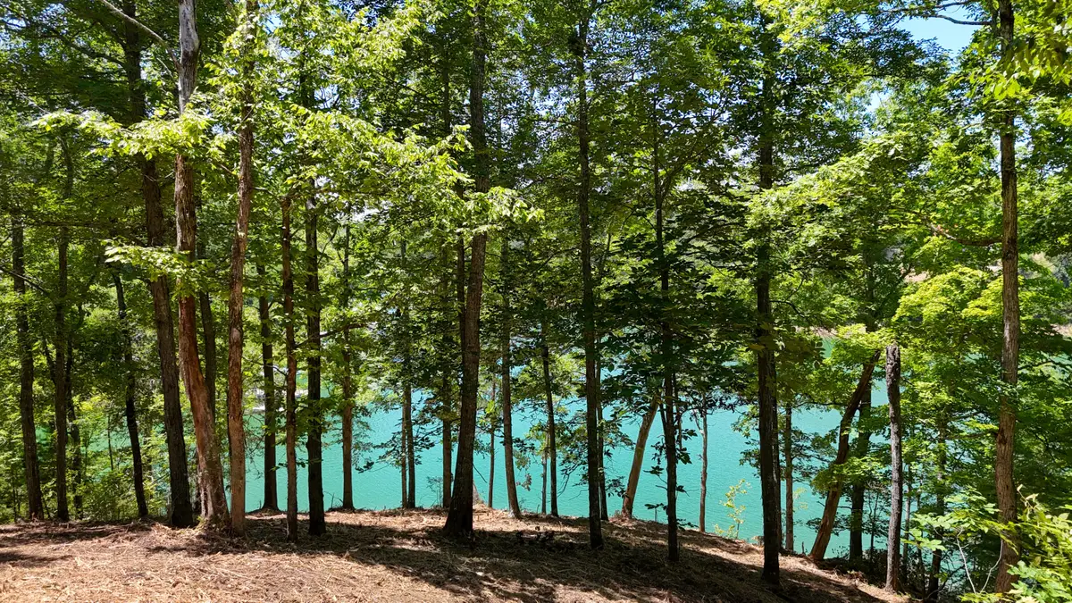 Lot 2 Lake Oaks Way, Sevierville, TN 37876 - #1