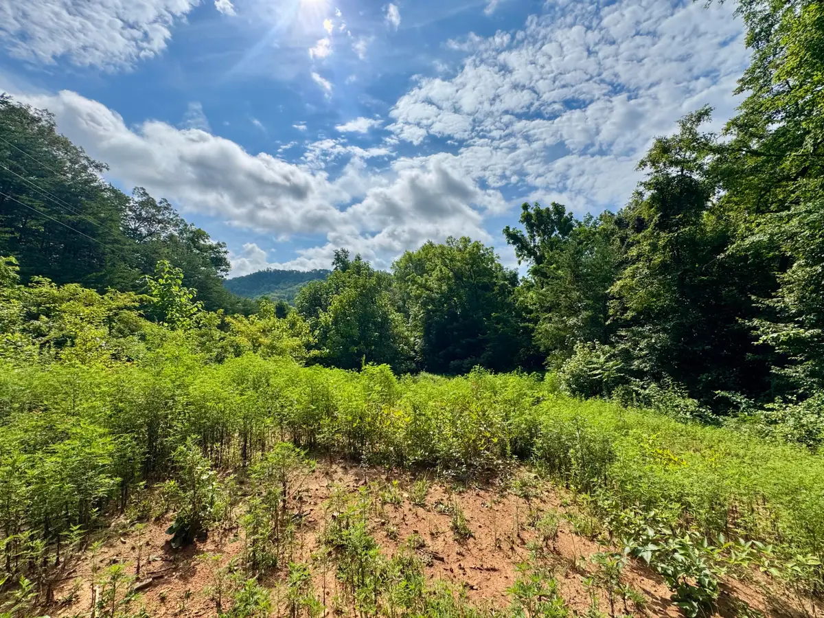 638 Black Feet Way, Del Rio, TN 37727 - #1
