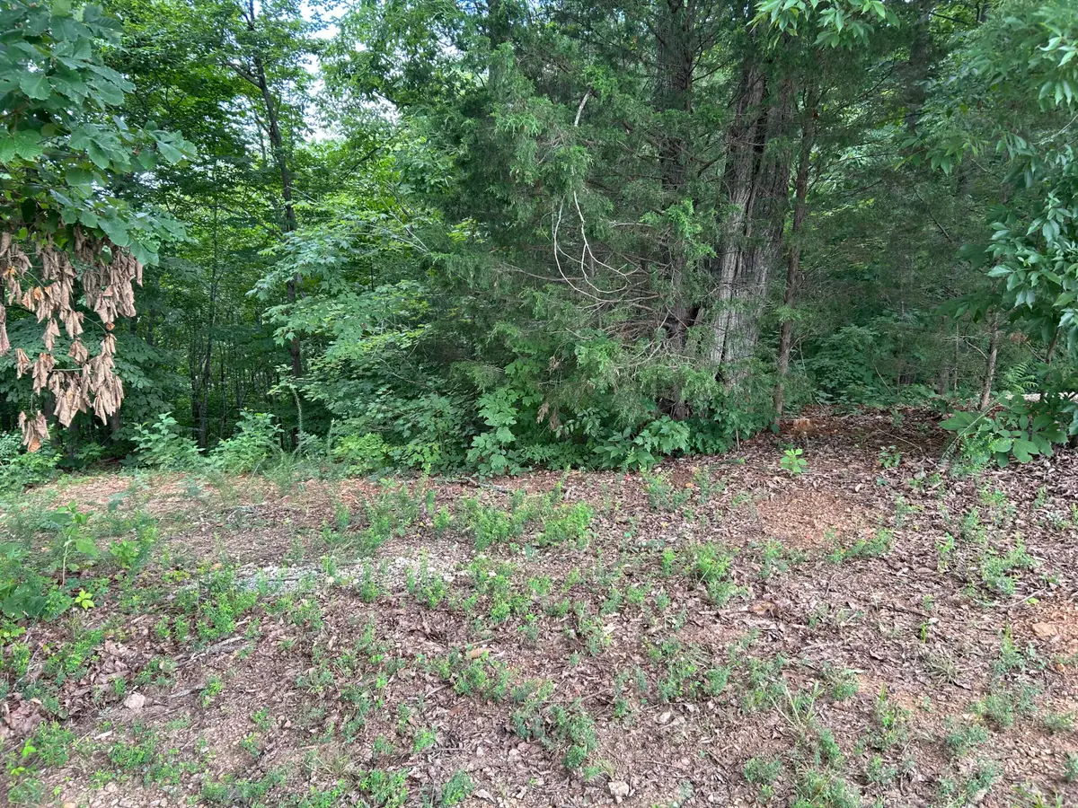 0 Megans Trail, Bean Station, TN 37708 - #1