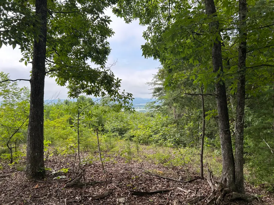 0 Megans Trail, Bean Station, TN 37708 - #3