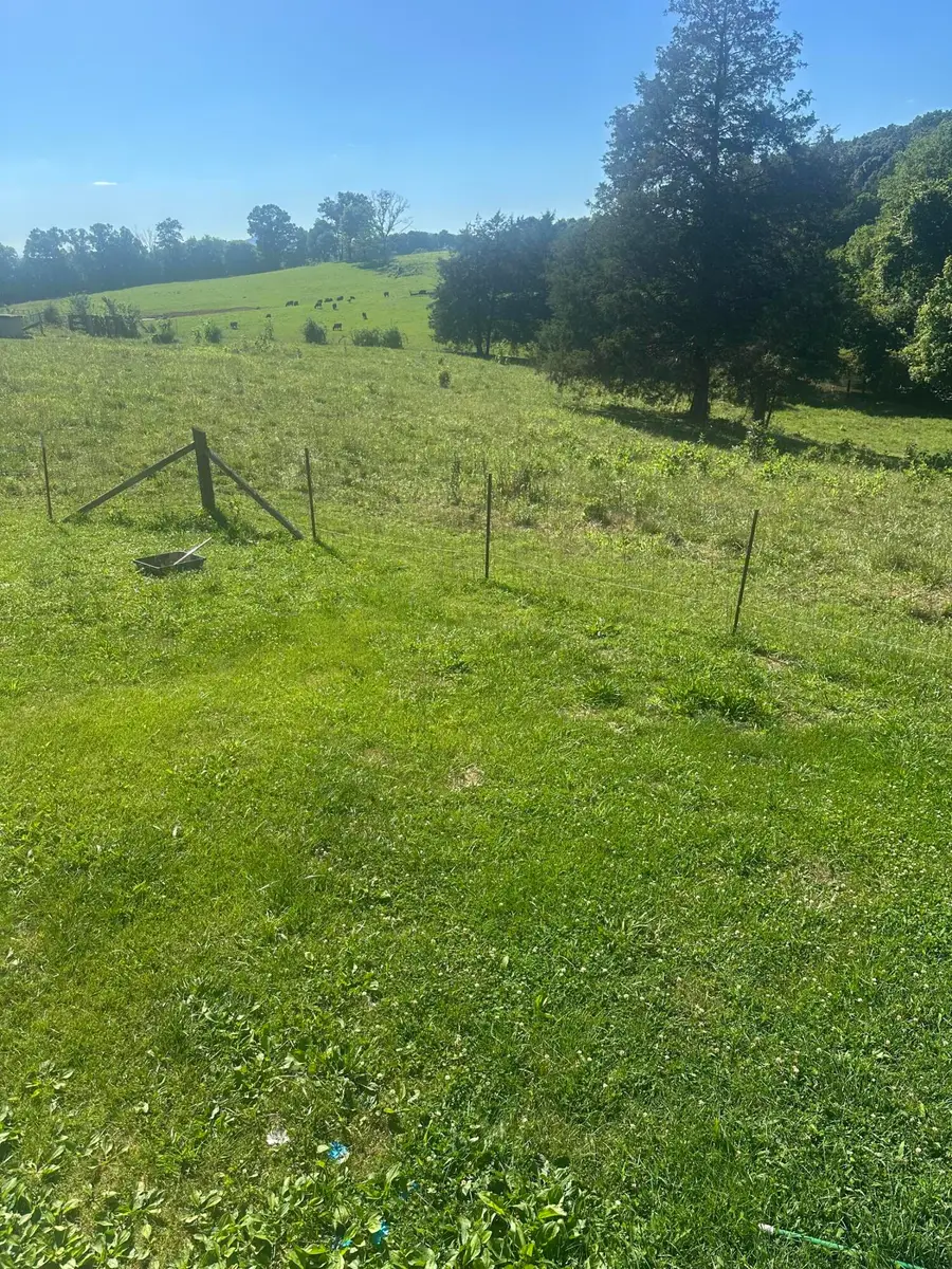 2185 Lynx Road, New Market, TN 37820 - #2