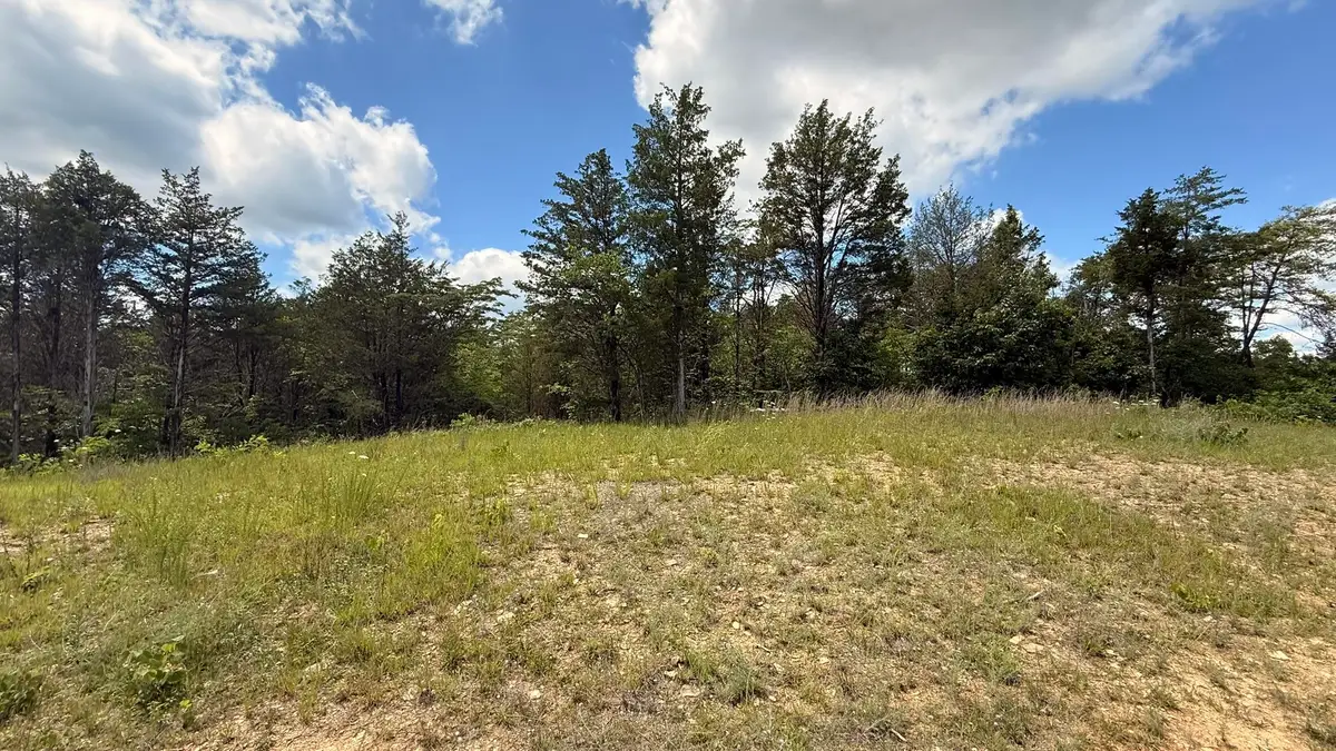 Lot 3 Walker Cemetary Road, Bulls Gap, TN 37711 - #1