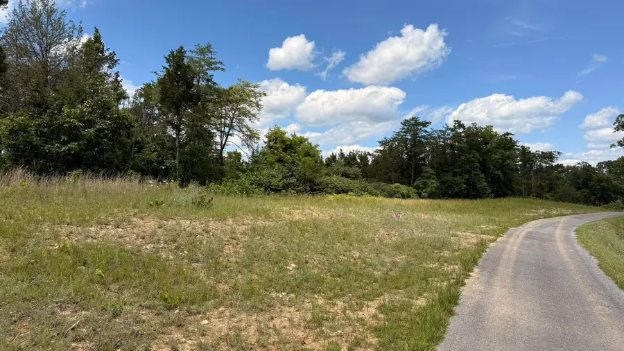 Lot 3 Walker Cemetary Road, Bulls Gap, TN 37711 - #3