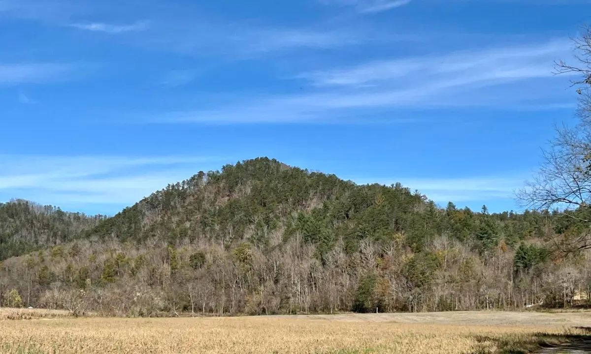 2720 E Highway 25-70, Del Rio, TN 37727 - #1