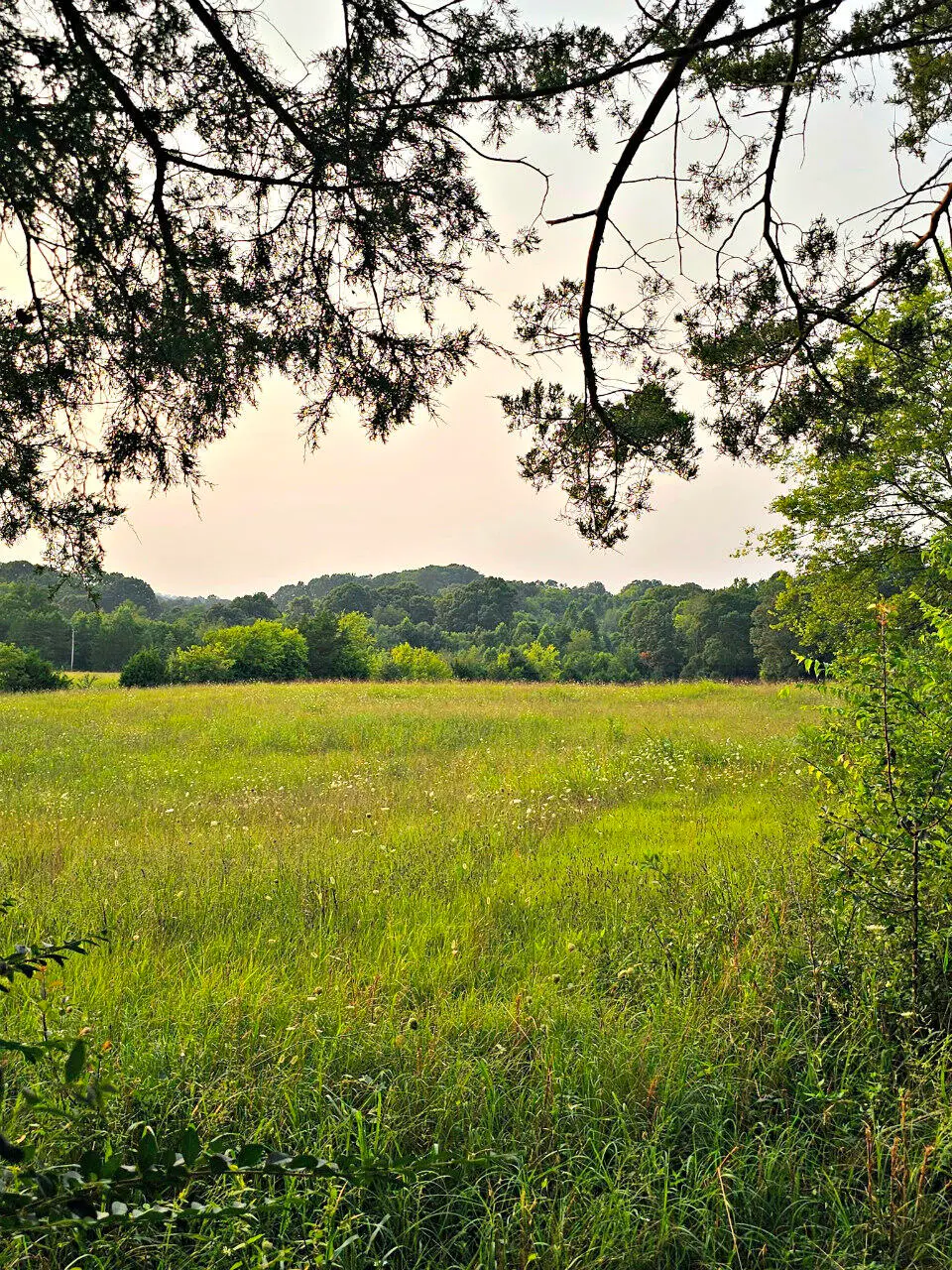 Tract 3 Wells Spring Road, Dandridge, TN 37725 - #1