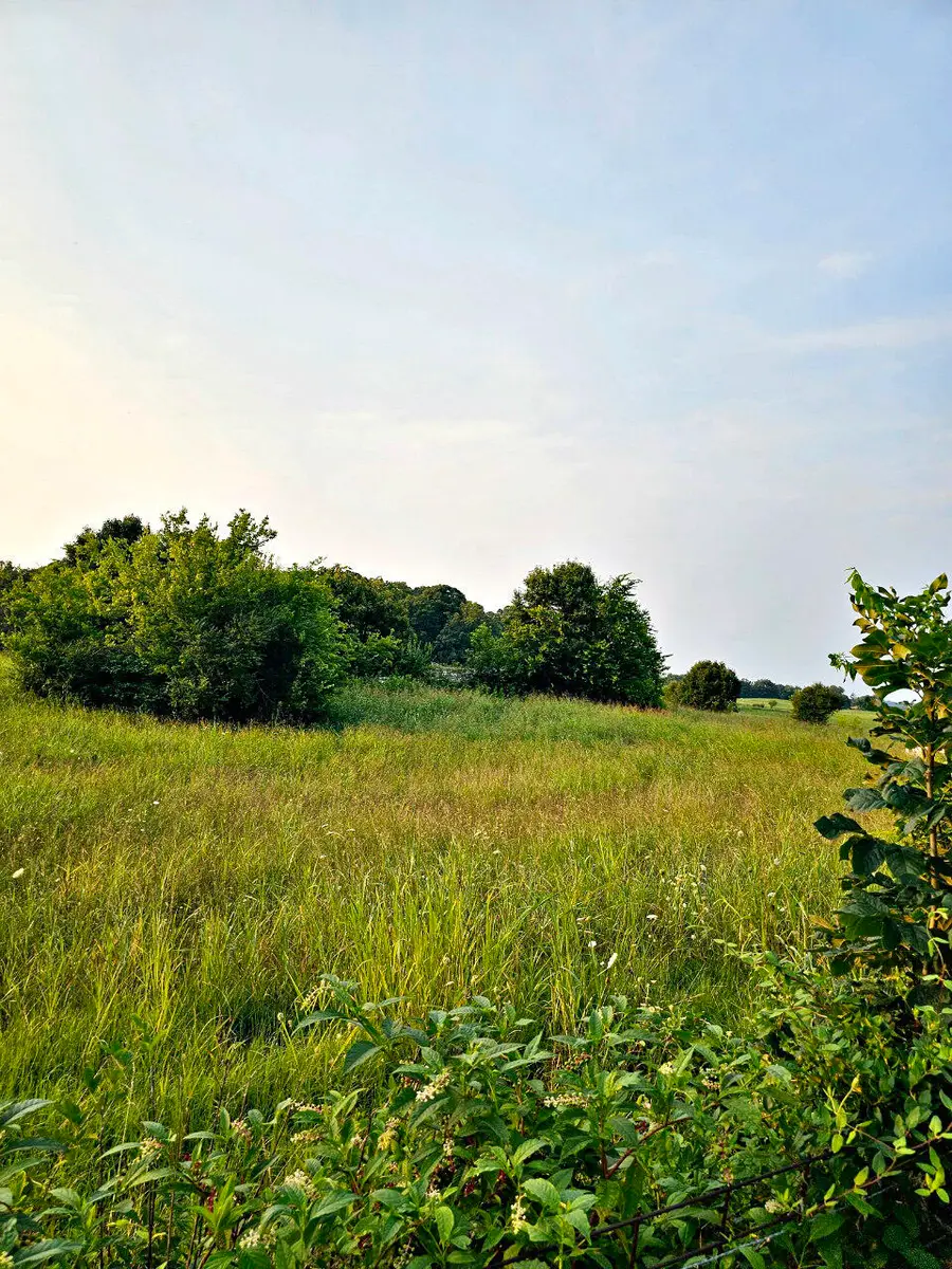 Tract 3 Wells Spring Road, Dandridge, TN 37725 - #2