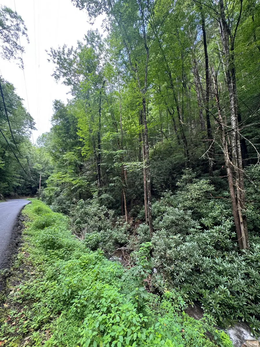 000 Lots 12 13 14 Butler Branch Rd, Gatlinburg, TN 37738 - #2