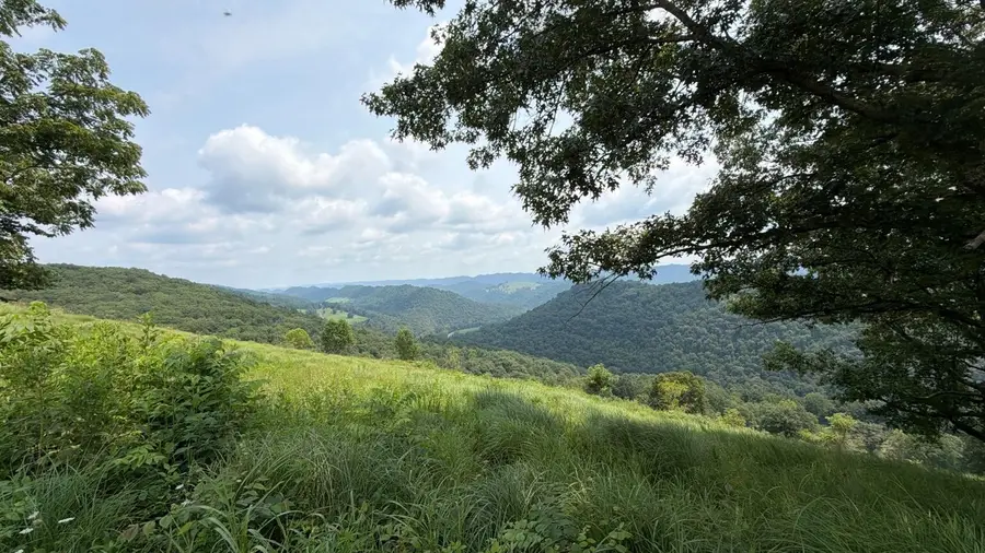 123456 Big Springs Road, Eidson, TN 37731 - #2