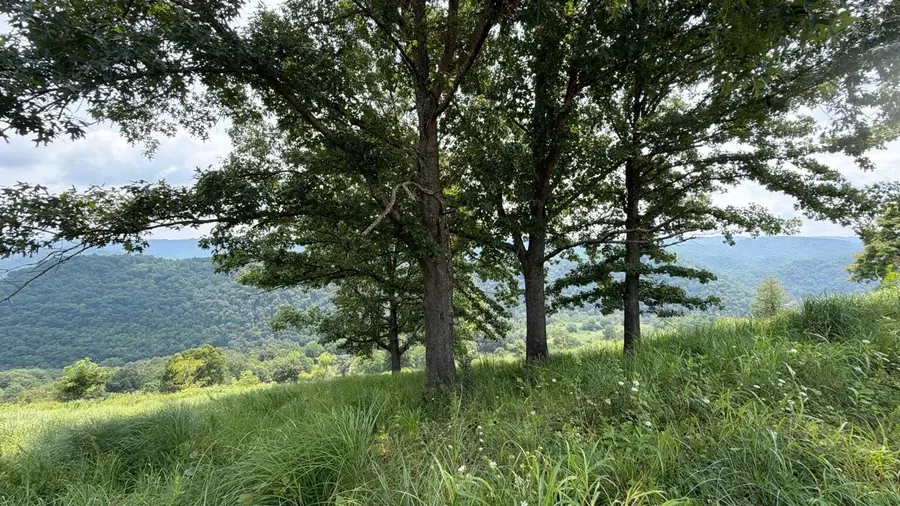 123456 Big Springs Road, Eidson, TN 37731 - #3