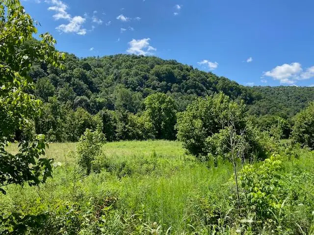 029.03 Hatfield Road, Tazewell, TN 37879 - #1