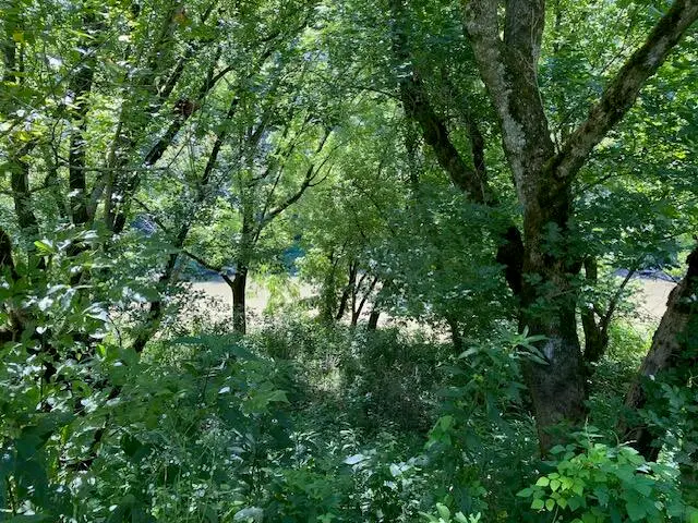 029.03 Hatfield Road, Tazewell, TN 37879 - #3