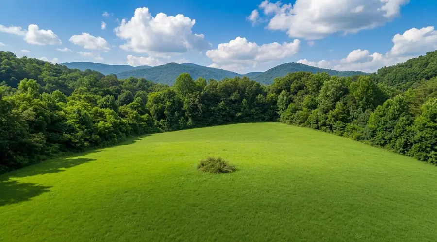Par 047.00 Highway 73, Newport, TN 37821 - #2
