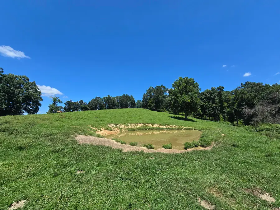 15.09 Acre Highway 92, Rutledge, TN 37861 - #3